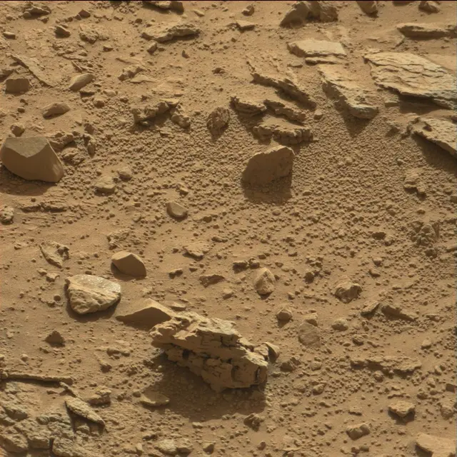 Sol 89: Mast Camera (Mastcam)
