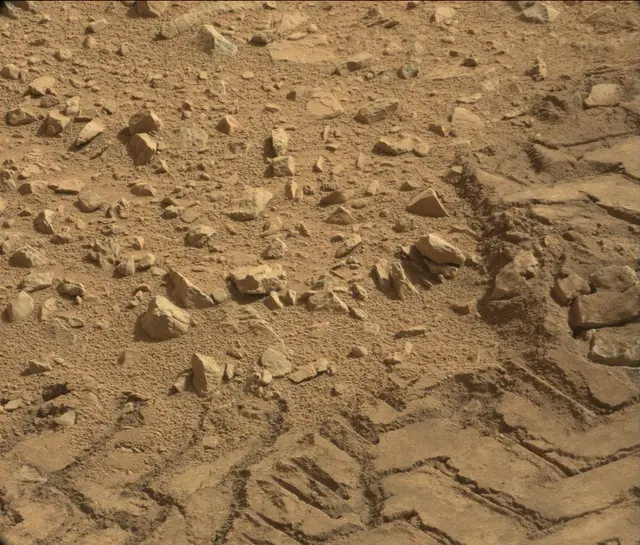 Sol 89: Mast Camera (Mastcam)