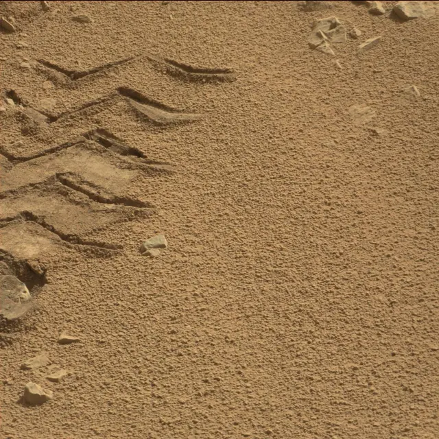 Sol 89: Mast Camera (Mastcam)