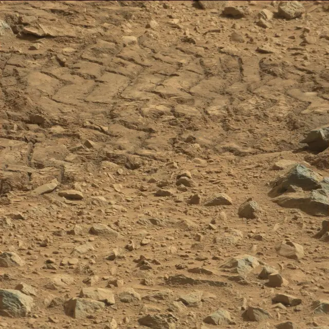 Sol 89: Mast Camera (Mastcam)