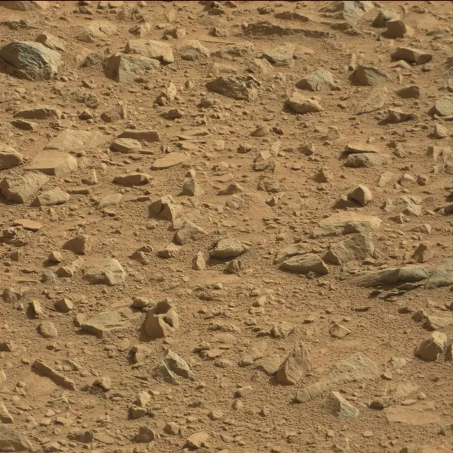 Sol 89: Mast Camera (Mastcam)