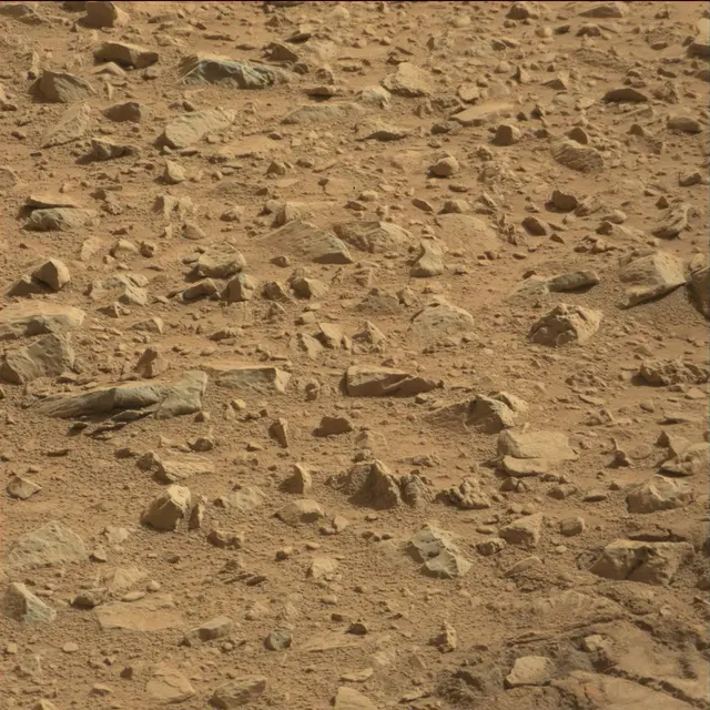 Sol 89: Mast Camera (Mastcam)