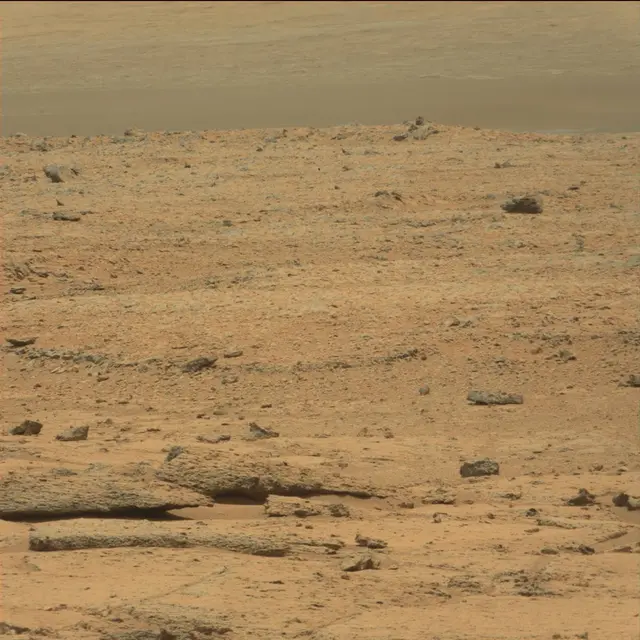 Sol 101: Mast Camera (Mastcam)