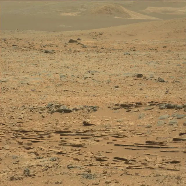 Sol 101: Mast Camera (Mastcam)