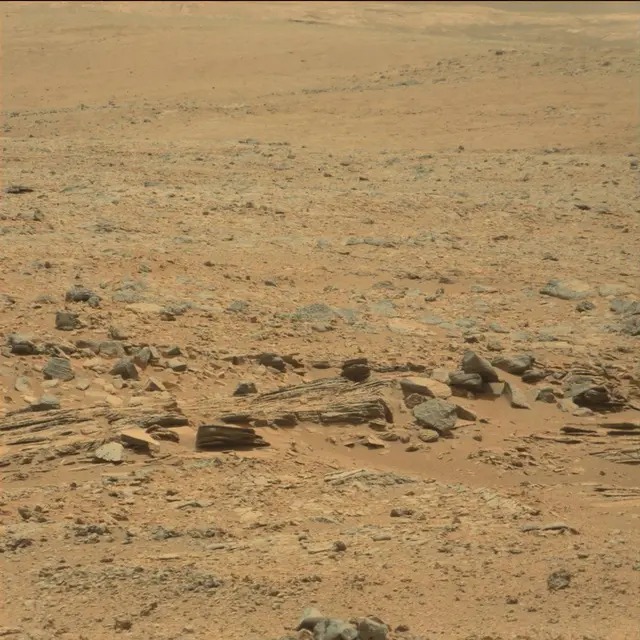 Sol 101: Mast Camera (Mastcam)