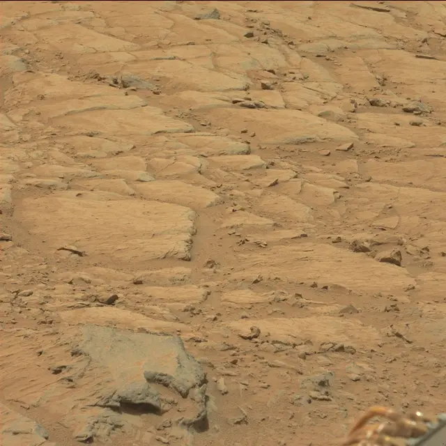 Sol 104: Mast Camera (Mastcam)