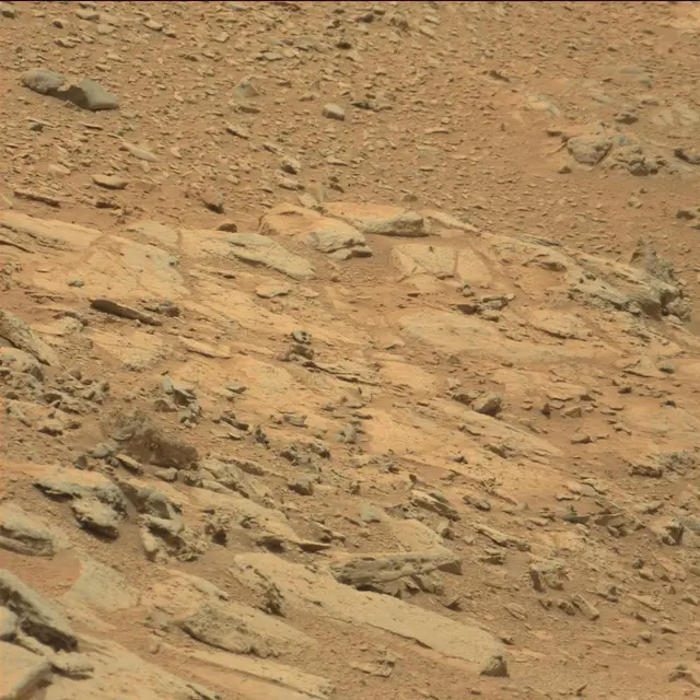 Sol 104: Mast Camera (Mastcam)