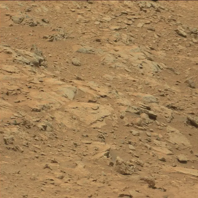 Sol 104: Mast Camera (Mastcam)