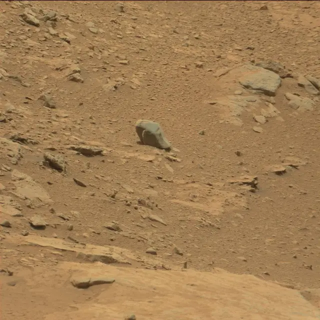 Sol 104: Mast Camera (Mastcam)