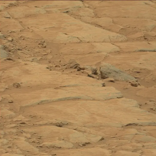 Sol 104: Mast Camera (Mastcam)