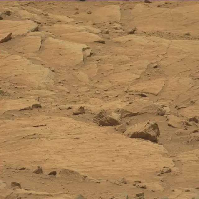Sol 104: Mast Camera (Mastcam)