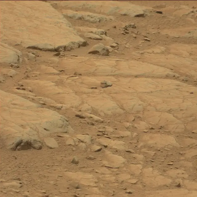 Sol 104: Mast Camera (Mastcam)