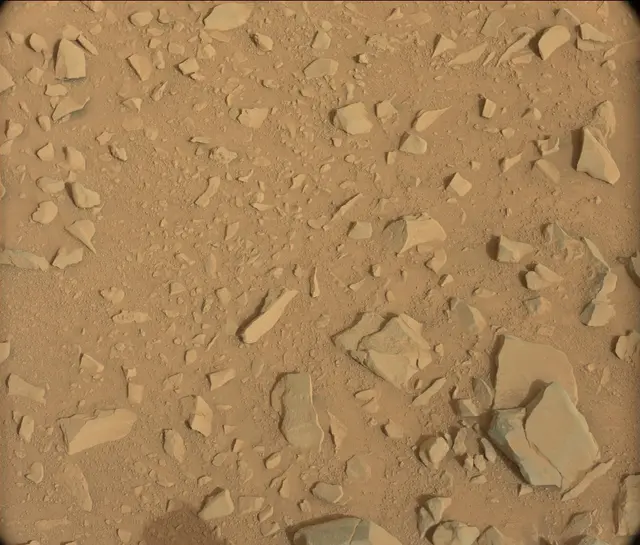 Sol 106: Mast Camera (Mastcam)
