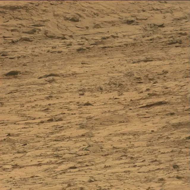 Sol 107: Mast Camera (Mastcam)