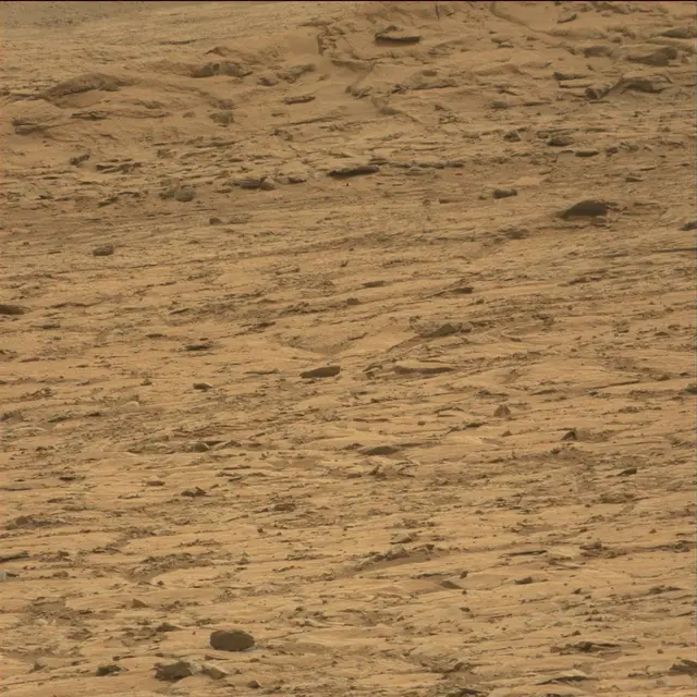 Sol 107: Mast Camera (Mastcam)