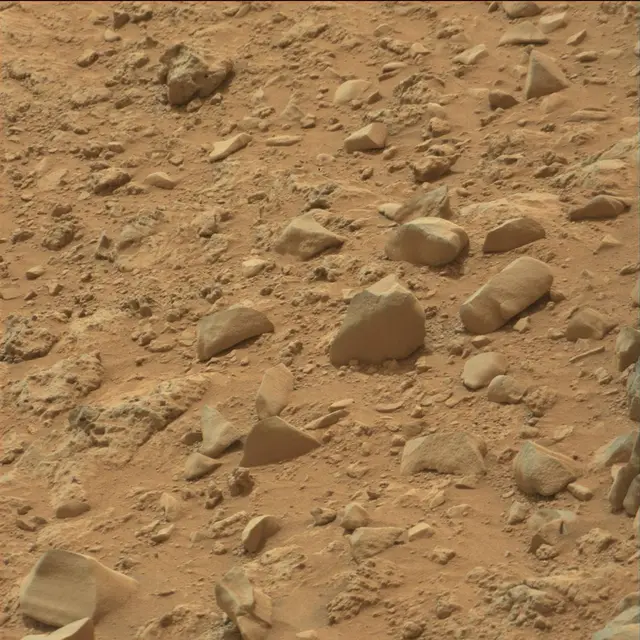 Sol 107: Mast Camera (Mastcam)
