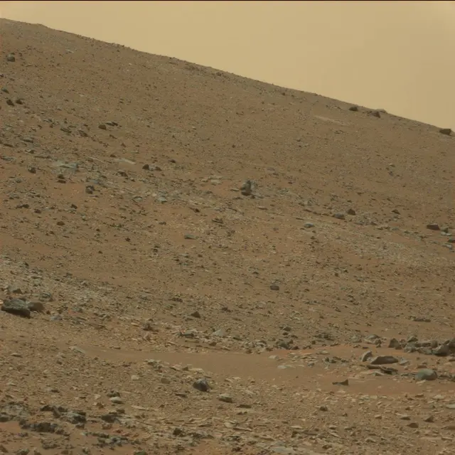 Sol 108: Mast Camera (Mastcam)