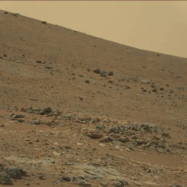 Sol 108: Mast Camera (Mastcam)