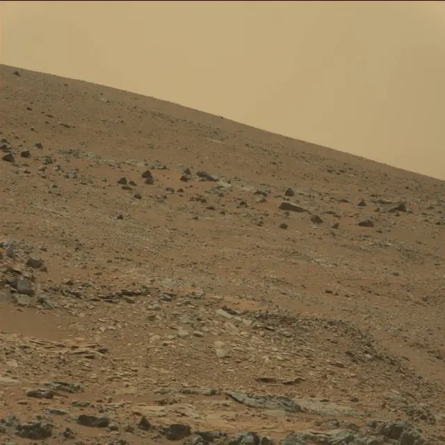 Sol 108: Mast Camera (Mastcam)