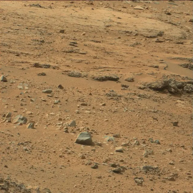 Sol 108: Mast Camera (Mastcam)
