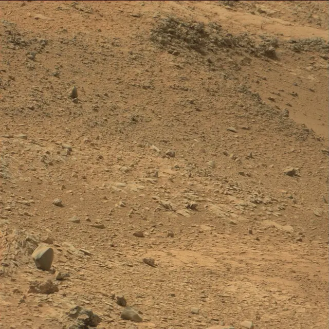 Sol 108: Mast Camera (Mastcam)