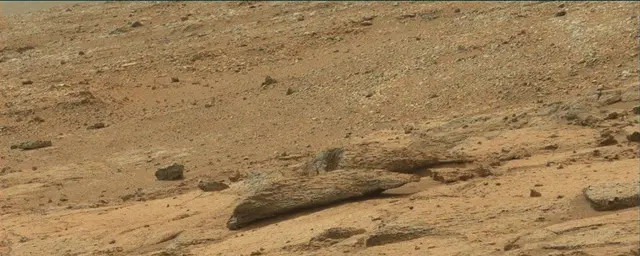 Sol 109: Mast Camera (Mastcam)