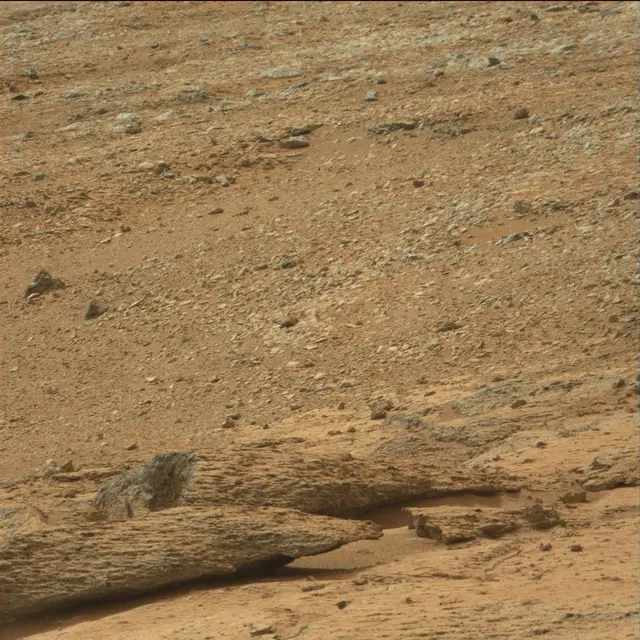 Sol 109: Mast Camera (Mastcam)