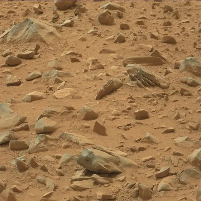 Sol 109: Mast Camera (Mastcam)