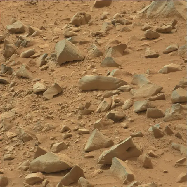 Sol 109: Mast Camera (Mastcam)