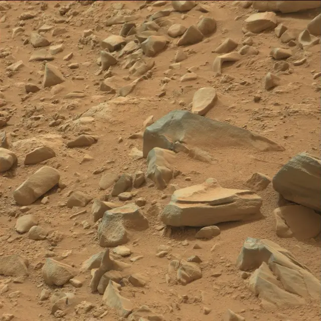 Sol 109: Mast Camera (Mastcam)