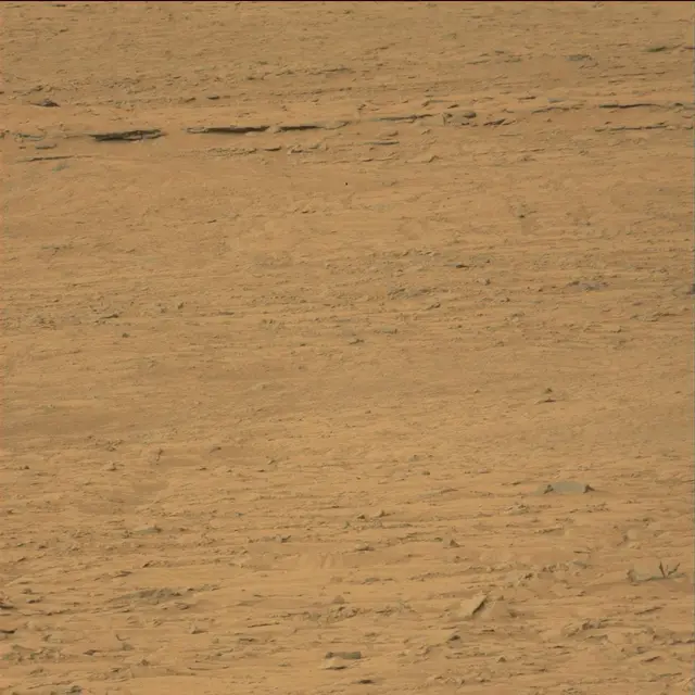 Sol 109: Mast Camera (Mastcam)