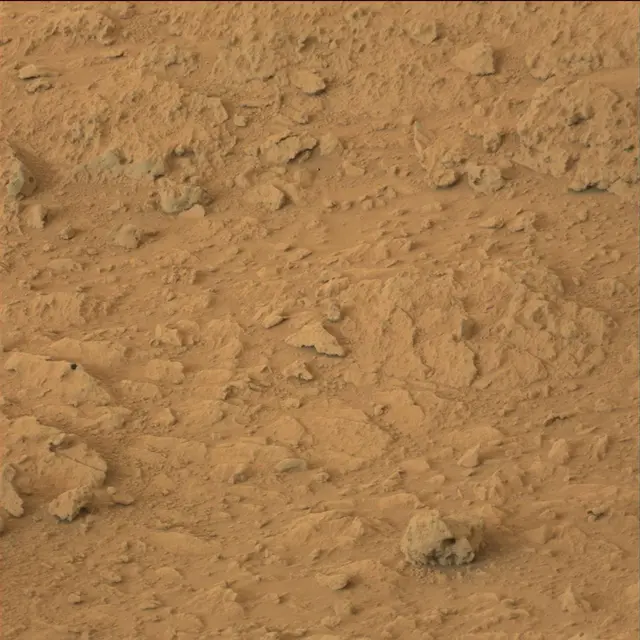 Sol 109: Mast Camera (Mastcam)