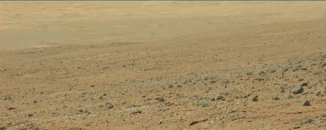 Sol 110: Mast Camera (Mastcam)