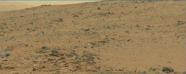 Sol 110: Mast Camera (Mastcam)