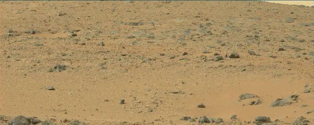 Sol 110: Mast Camera (Mastcam)