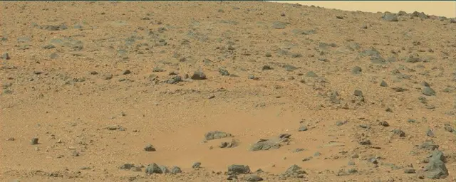 Sol 110: Mast Camera (Mastcam)