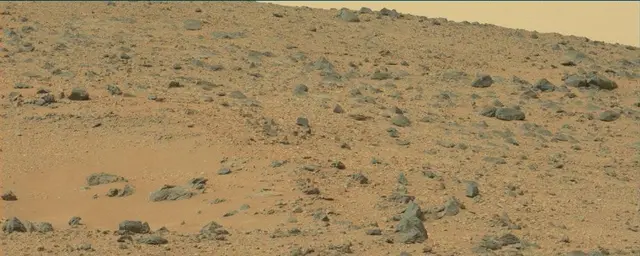 Sol 110: Mast Camera (Mastcam)