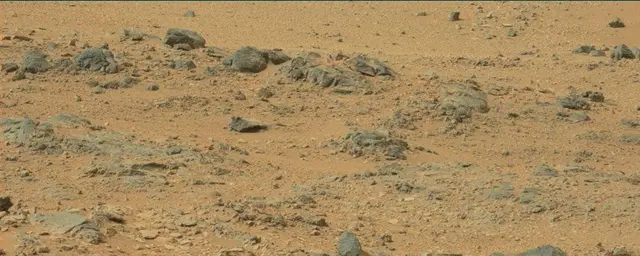 Sol 110: Mast Camera (Mastcam)