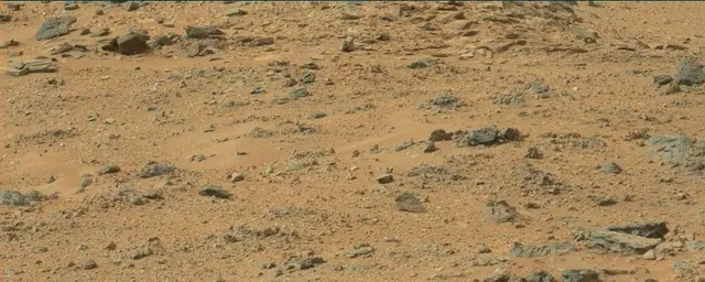 Sol 110: Mast Camera (Mastcam)