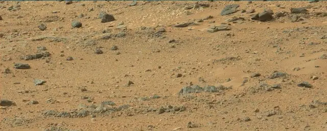 Sol 110: Mast Camera (Mastcam)