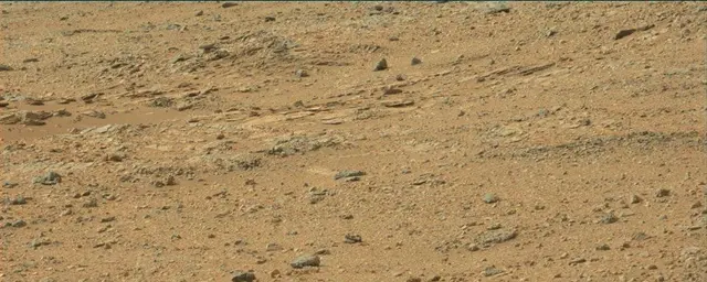 Sol 110: Mast Camera (Mastcam)