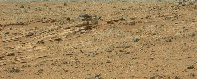 Sol 110: Mast Camera (Mastcam)