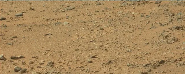Sol 110: Mast Camera (Mastcam)