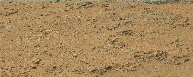 Sol 110: Mast Camera (Mastcam)