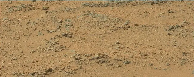 Sol 110: Mast Camera (Mastcam)