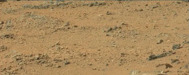 Sol 110: Mast Camera (Mastcam)