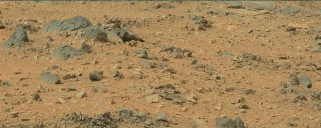 Sol 110: Mast Camera (Mastcam)