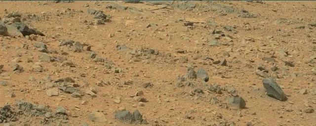 Sol 110: Mast Camera (Mastcam)