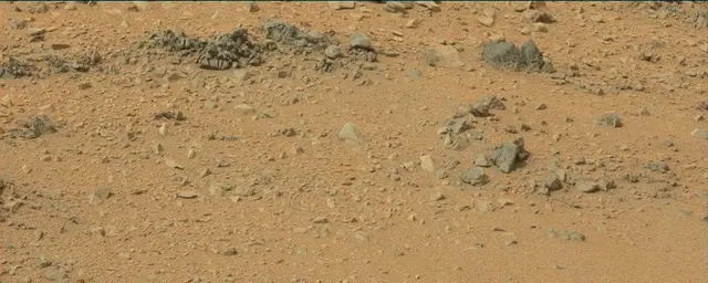 Sol 110: Mast Camera (Mastcam)