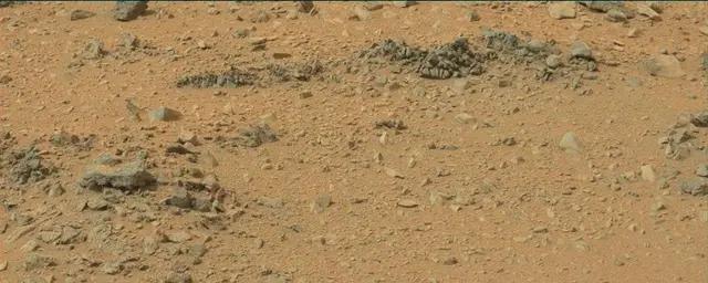 Sol 110: Mast Camera (Mastcam)